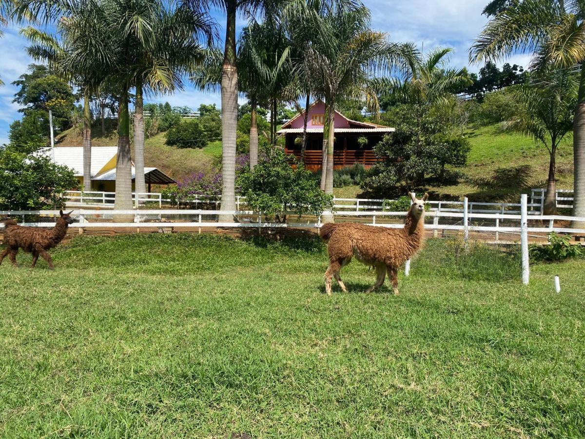 Pousada Rancho Na Serra Espera Feliz Exterior foto